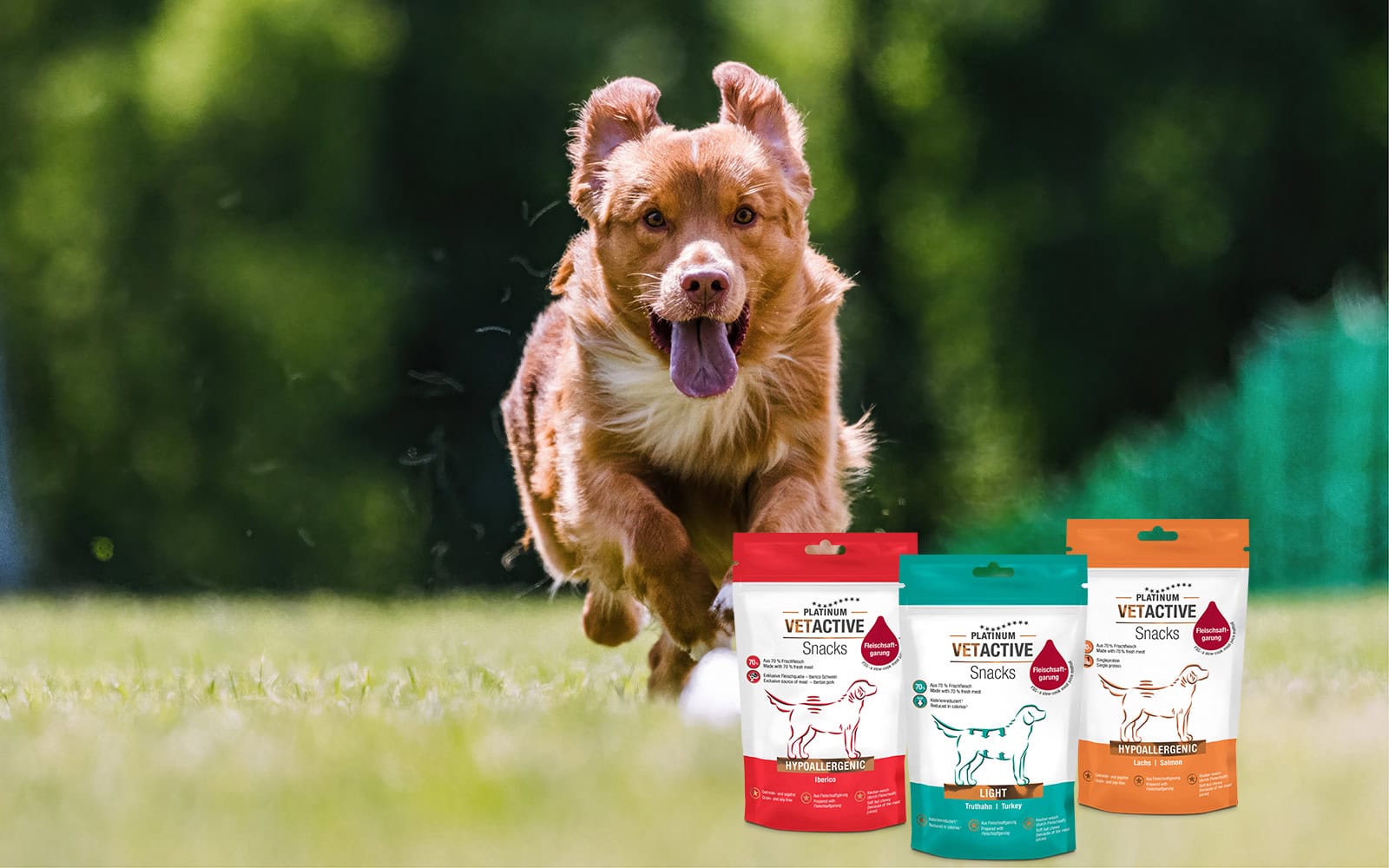 VETACTIVE Zdravi in Naravni priboljški za Pse